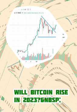 Bitcoin all time high