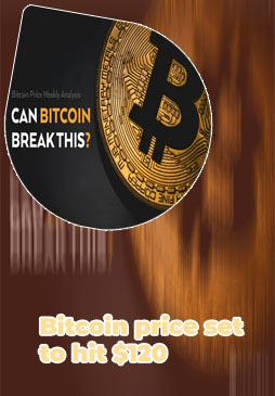 Bitcoin price live usd