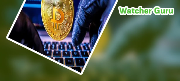 Cryptocurrency watcher