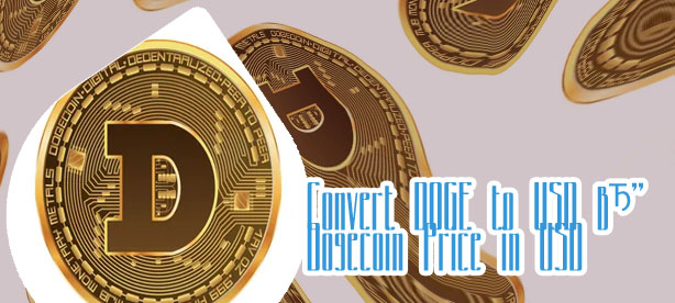 Dogecoin converter