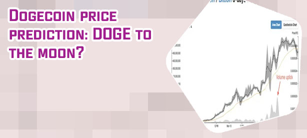 Dogecoin share price