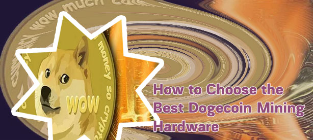 How to opt in coinbase dogecoin