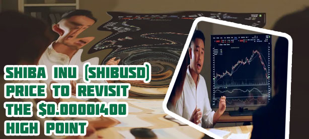 Shibusd crypto