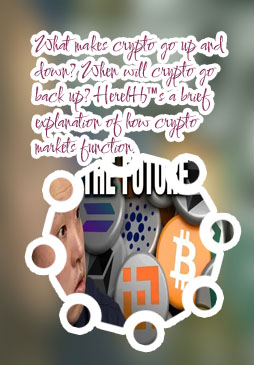 What drives crypto prices