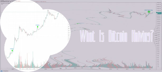 What is bitcoin halving