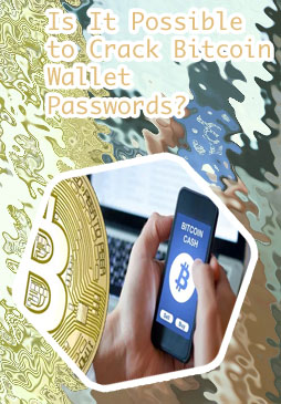 Why won cracking bitcoin wallets